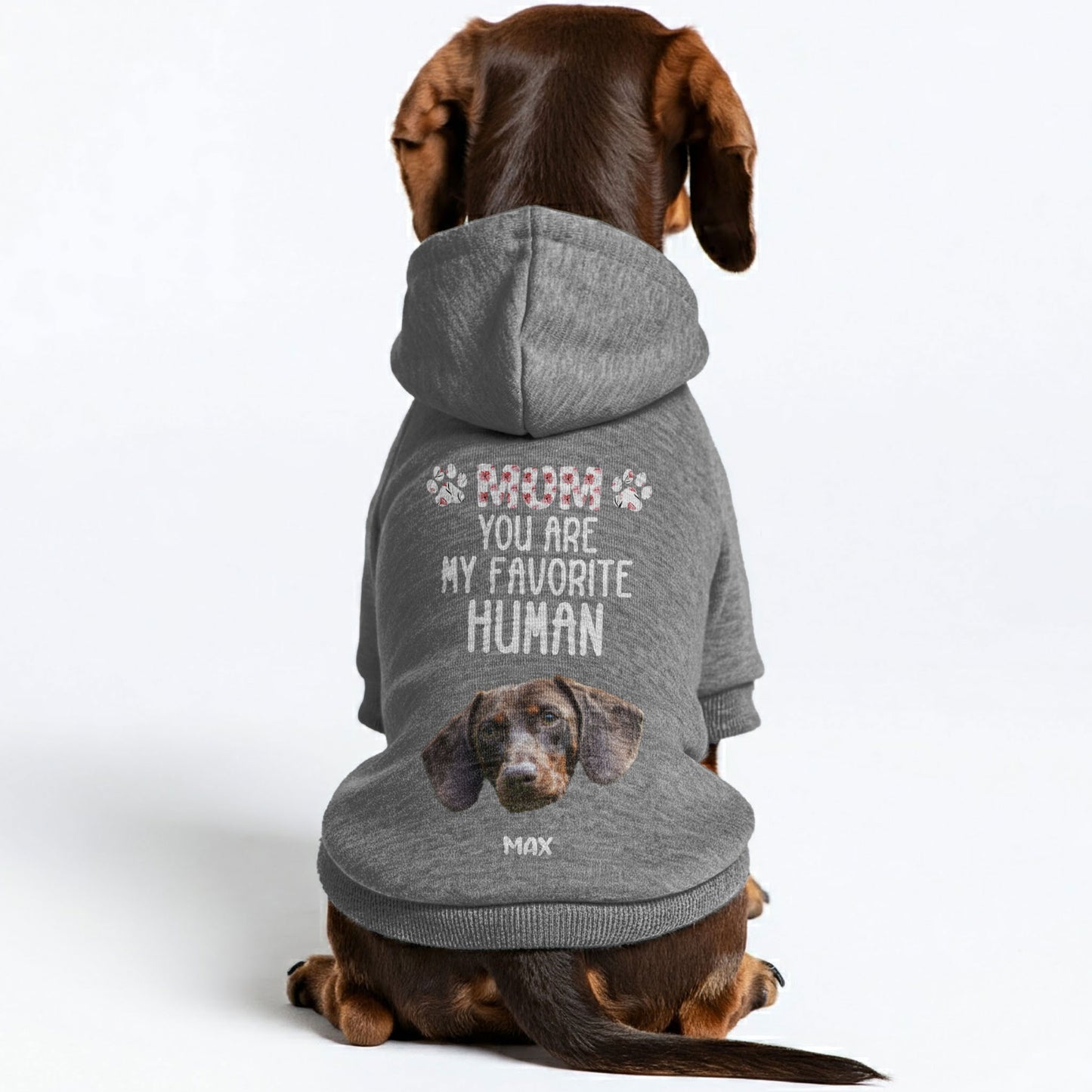 Favorite Human – Personalized Dachshund Hoodies with Your Doxie’s Name & Photo – Stylish, Cozy & Made from Premium 100% Cotton