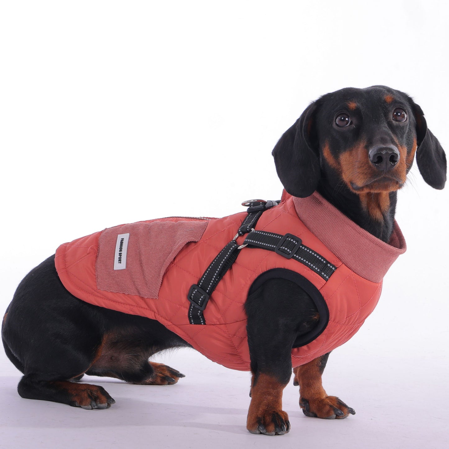 BarkBound Cozy Dachshund Jacket with Built-In Harness for Ultimate Comfort