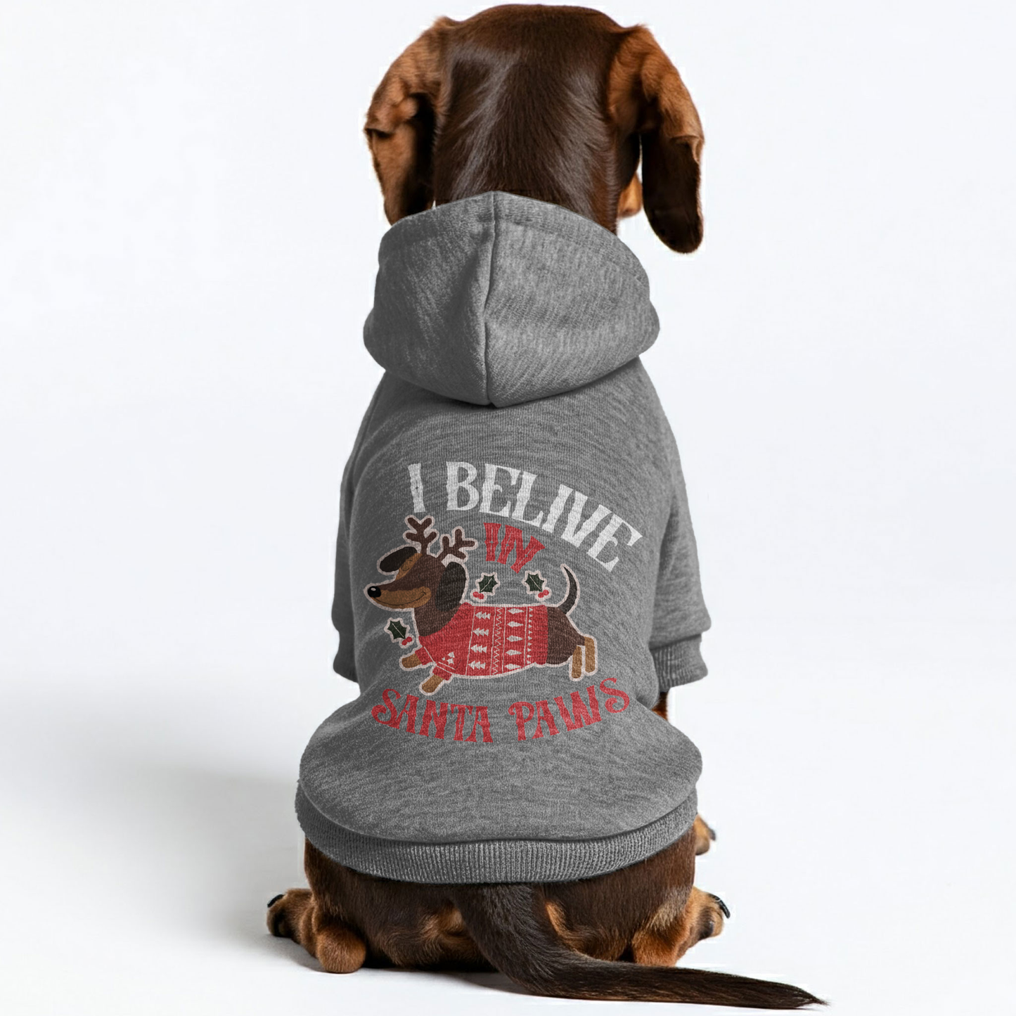 I BELIVE IN SANTA PAWS - Personalized Dachshund Hoodies with Funny Quotes – Stylish, Cozy, and Premium 100% Cotton