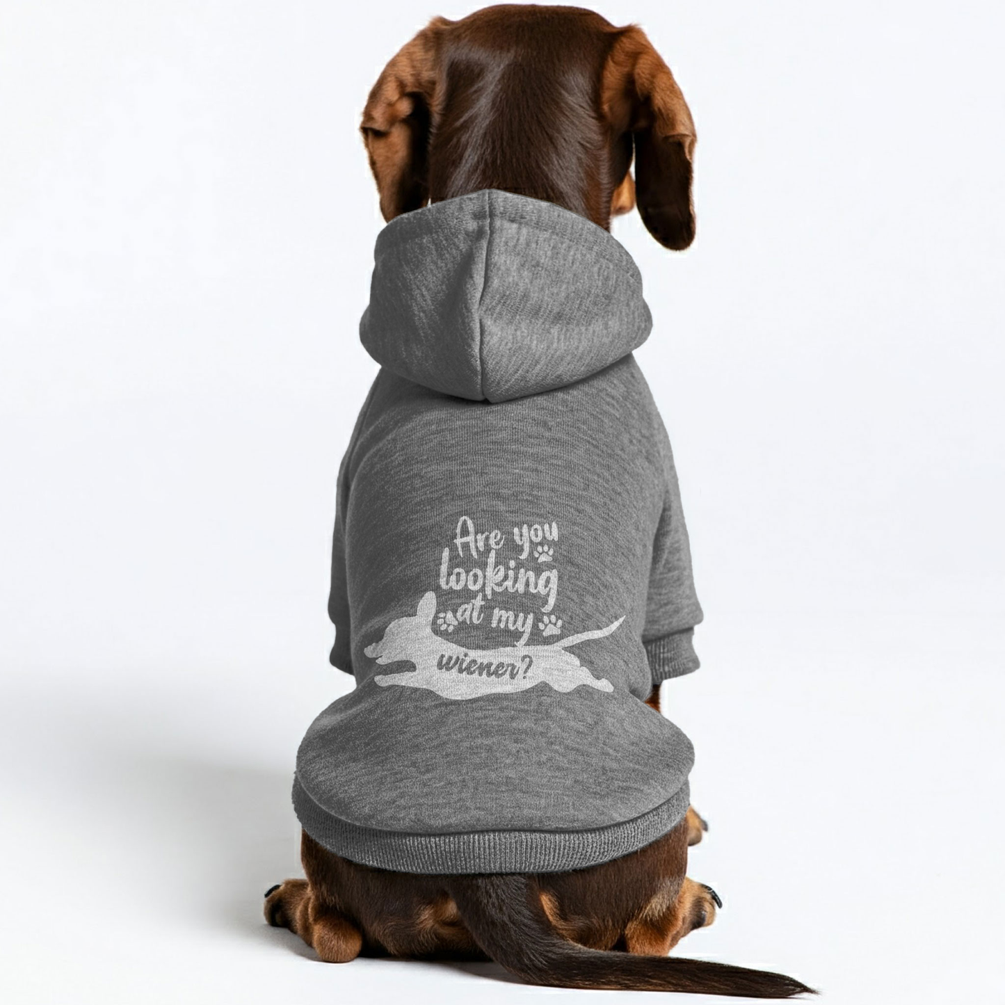 Are You Looking At My Wiener? - Personalized Dachshund Hoodies with Funny Quotes – Stylish, Cozy, and Premium 100% Cotton