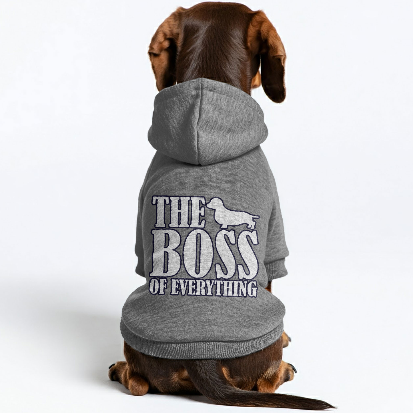 The BOSS - Personalized Dachshund Hoodies with Funny Quotes – Stylish, Cozy, and Premium 100% Cotton