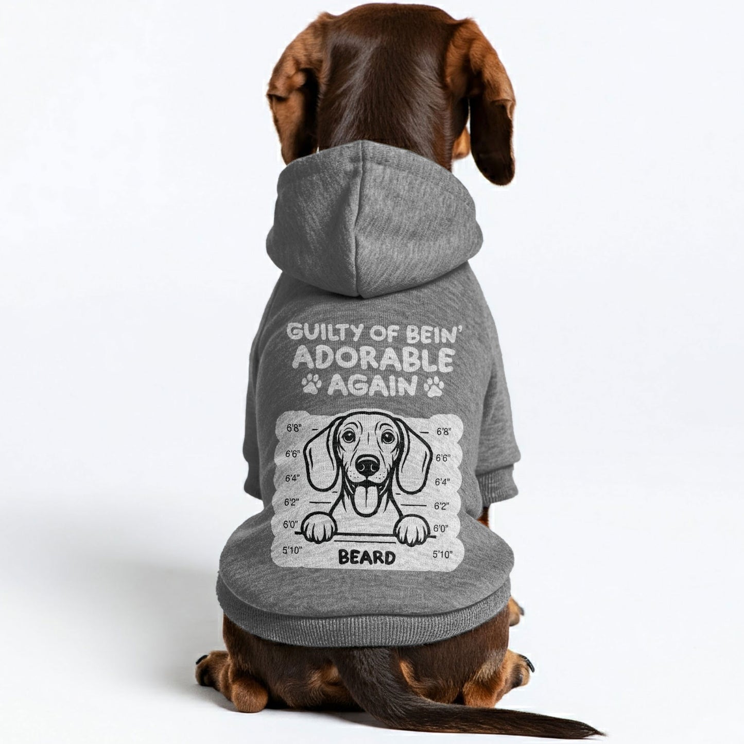 Guilty of bein’ - Personalized Dachshund Hoodies with your doxie name – Stylish, Cozy, and Premium 100% Cotton