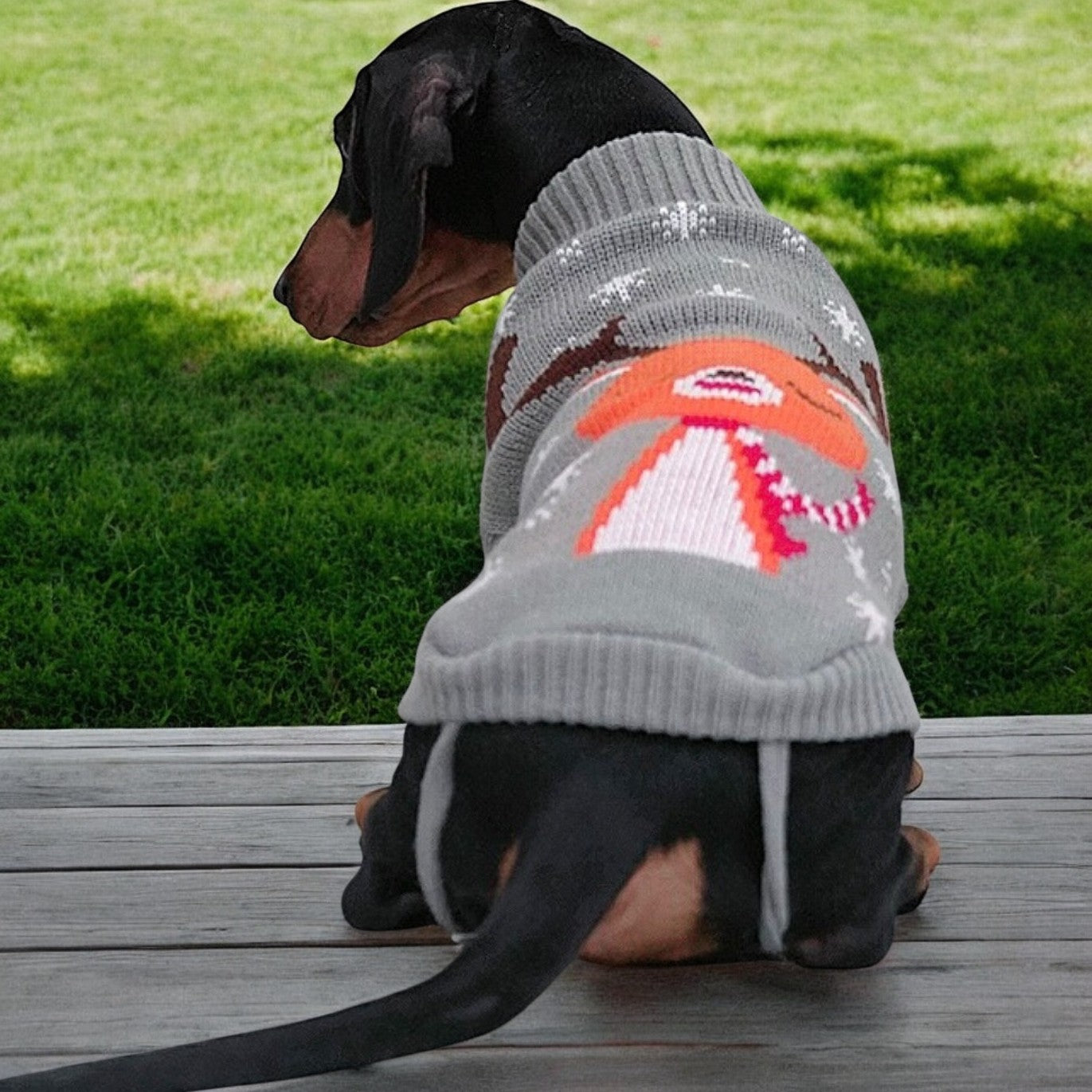 Luxury Dachshund Wool Sweater Christmas Costume