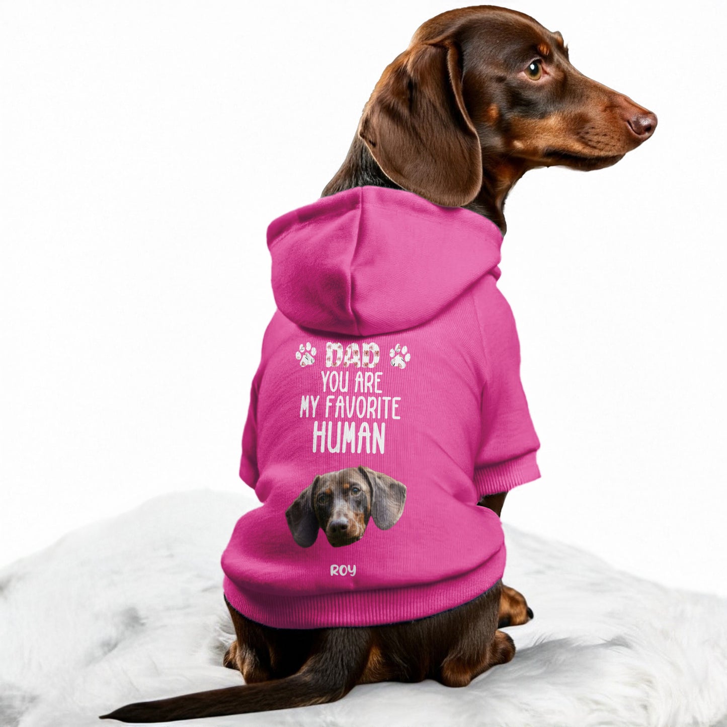 Favorite Human – Personalized Dachshund Hoodies with Your Doxie’s Name & Photo – Stylish, Cozy & Made from Premium 100% Cotton