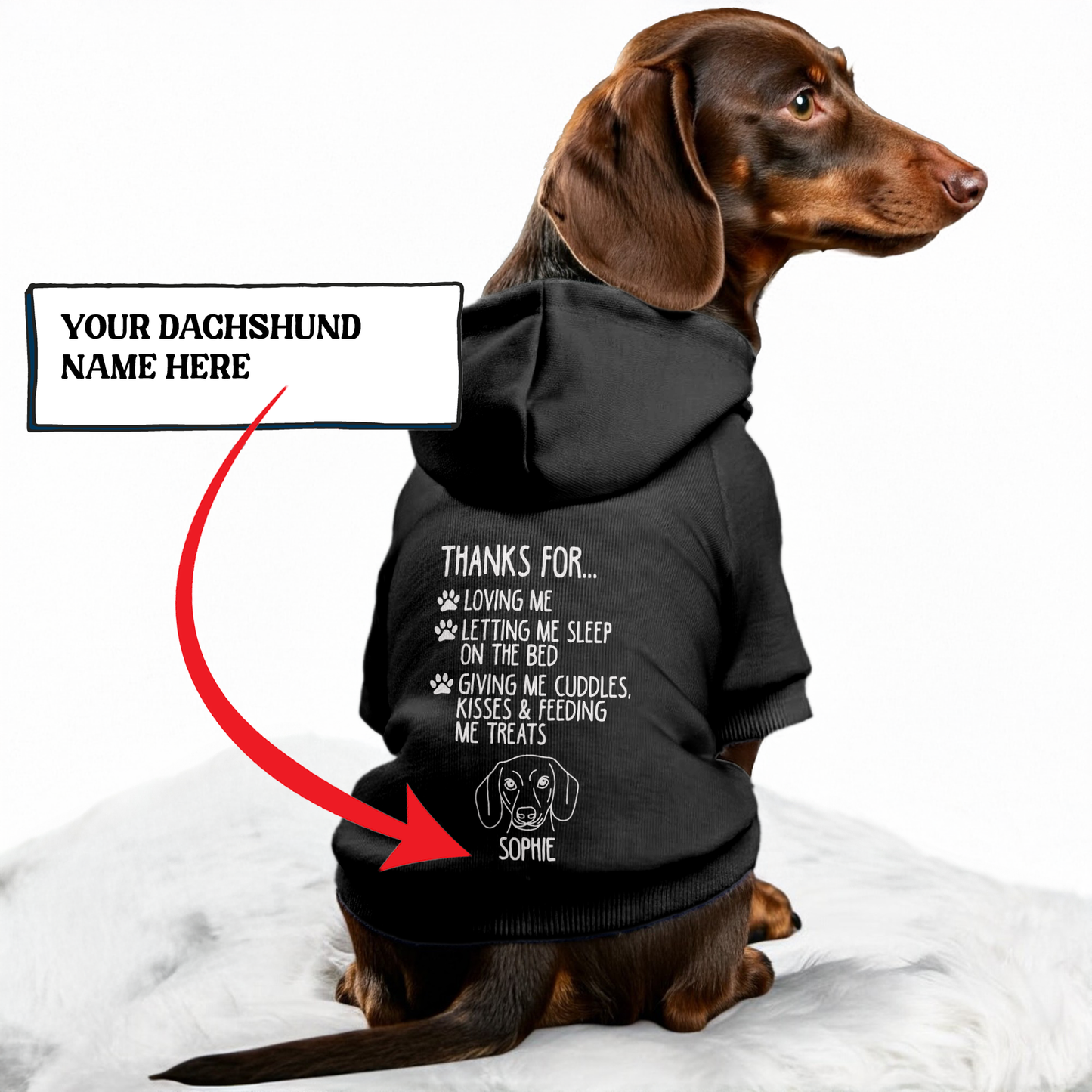 Abby - Personalized Dachshund Hoodies with your doxie name – Stylish, Cozy, and Premium 100% Cotton