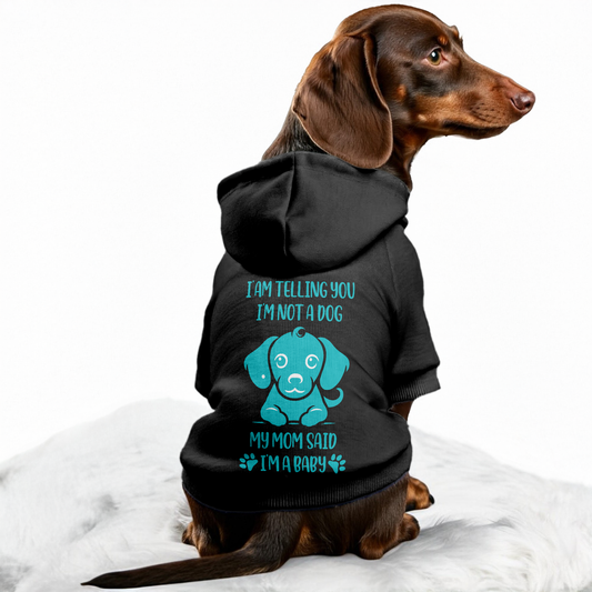 The Baby - Personalized Dachshund Hoodies with Funny Quotes – Stylish, Cozy, and Premium 100% Cotton