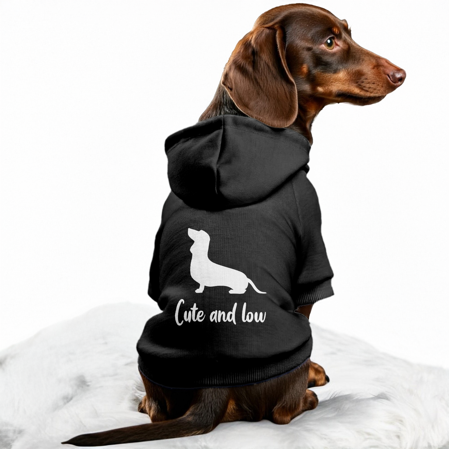 Cute and Low - Personalized Dachshund Hoodies with Funny Quotes – Stylish, Cozy, and Premium 100% Cotton