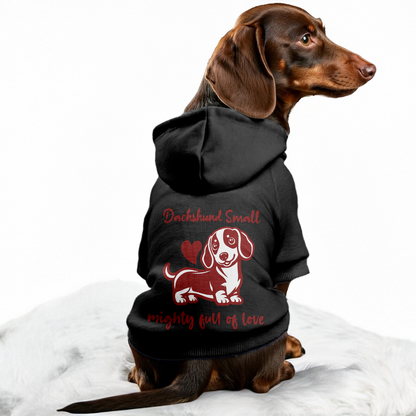 Mia - Personalized Dachshund Hoodies with Funny Quotes – Stylish, Cozy, and Premium 100% Cotton