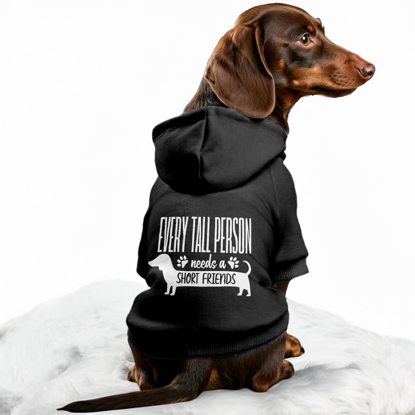 SHORT FRIENDS - Personalized Dachshund Hoodies with Funny Quotes – Stylish, Cozy, and Premium 100% Cotton