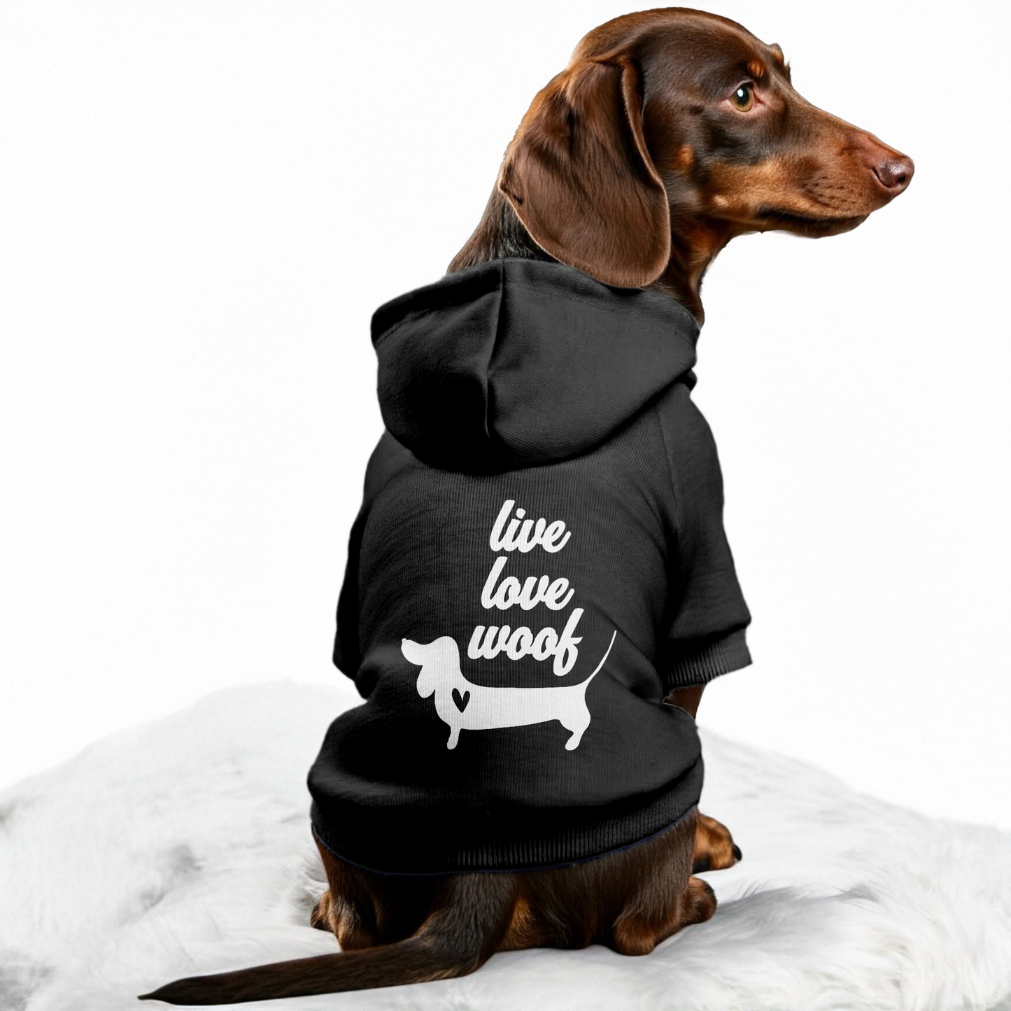 Woof - Personalized Dachshund Hoodies with Funny Quotes – Stylish, Cozy, and Premium 100% Cotton