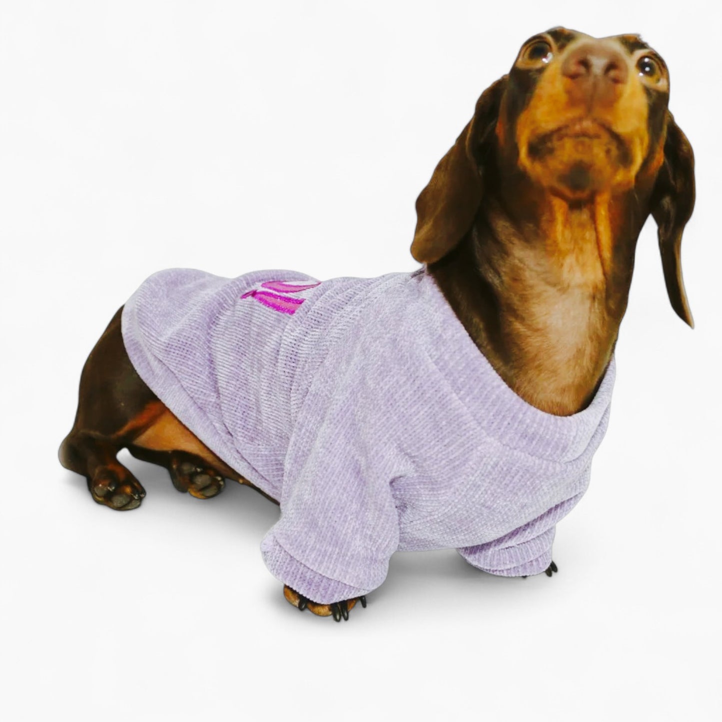PawBerry-Dachshund-Fleece-Sweater.jpg