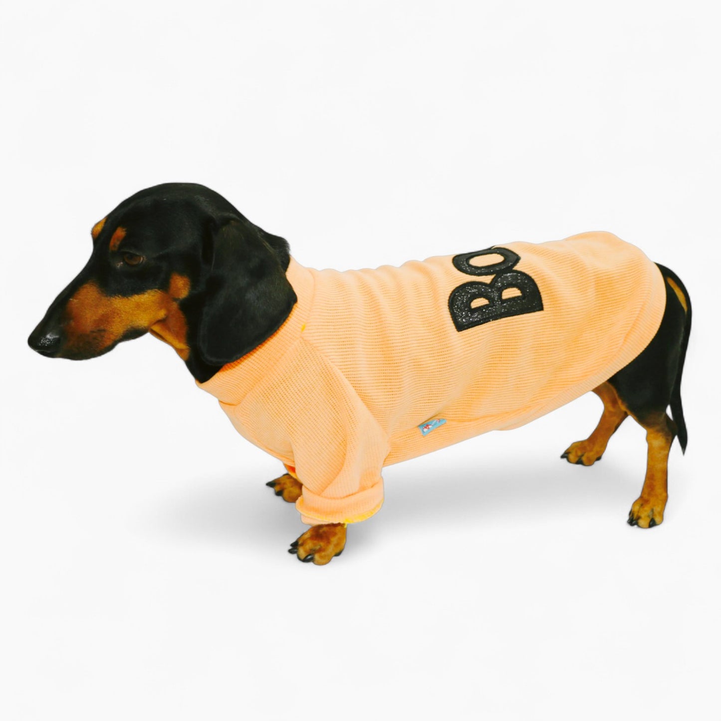 PawBerry-Dachshund-Fleece-Sweater.jpg