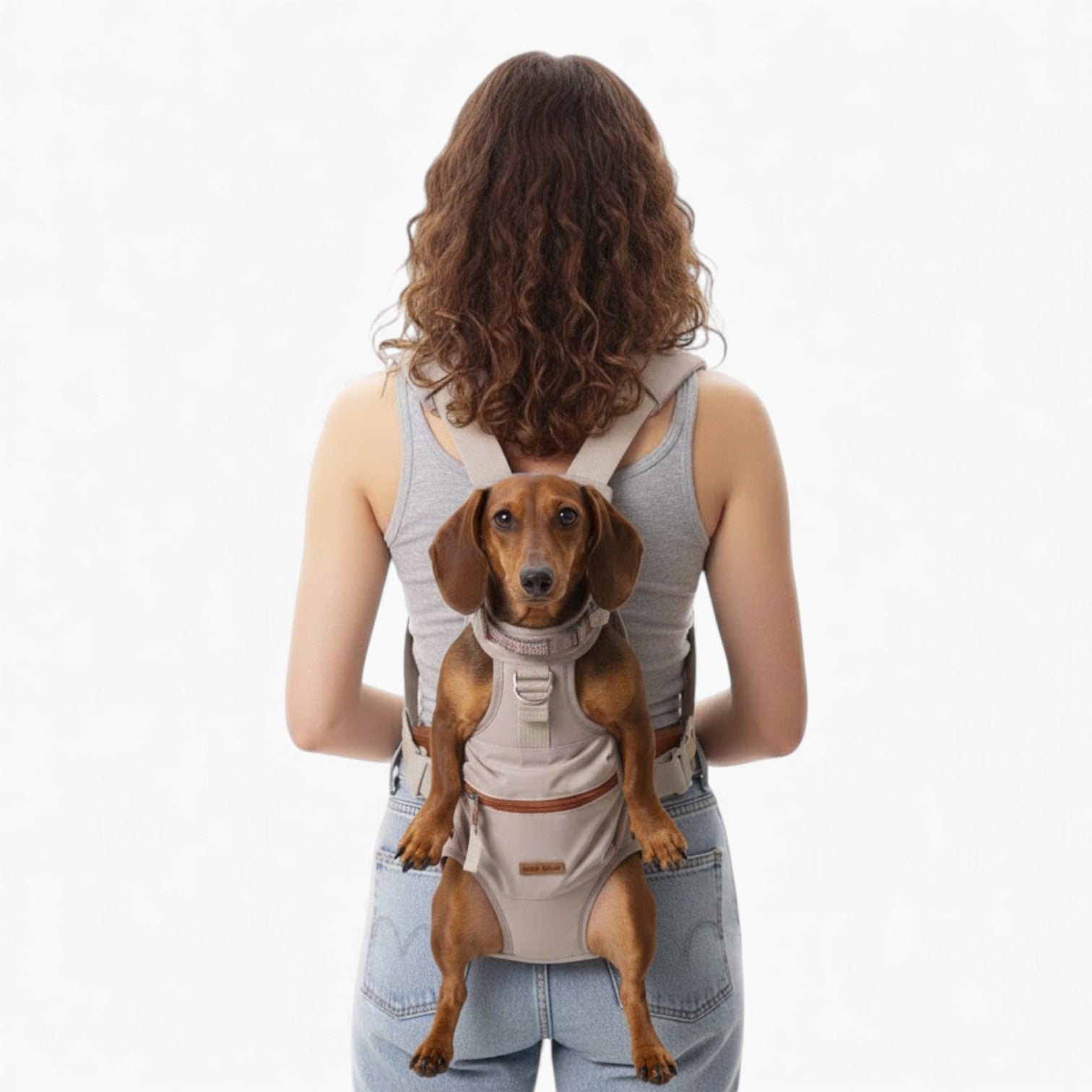 PawCarry-Dachshund-Backpack-Carrier.jpg