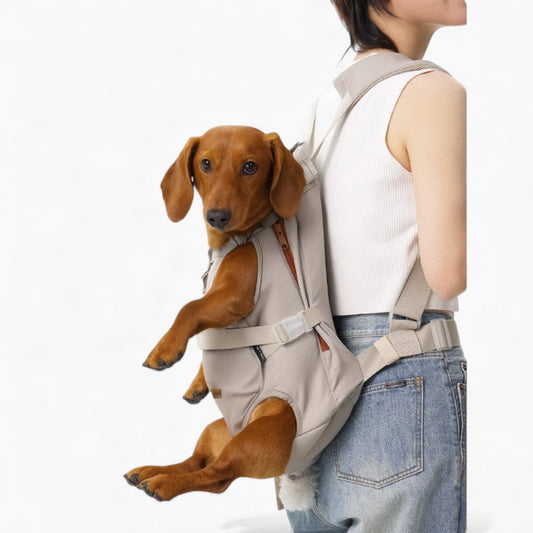 PawCarry-Dachshund-Backpack-Carrier.jpg