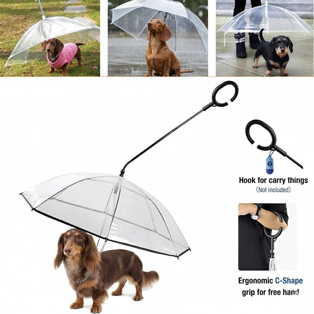 PawGuard™-Dachshund-Walking-Umbrella.jpg