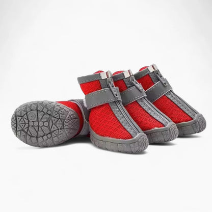 PawGuard-Dachshund-Waterproof-Boots.jpg