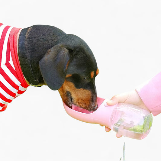 PawHydro-Dachshund-Water-Bottle.jpg