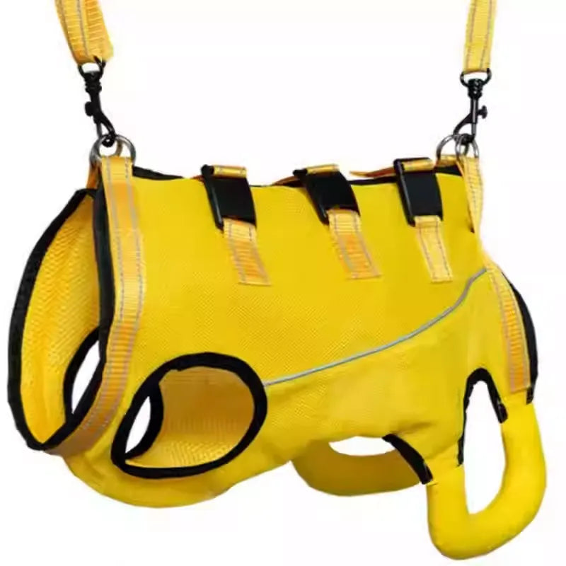 PawLift-Dachshund-Assist-Belt.jpg