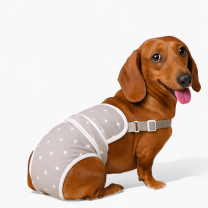 PawLuxe-Dachshund-Heat-Pants.jpg