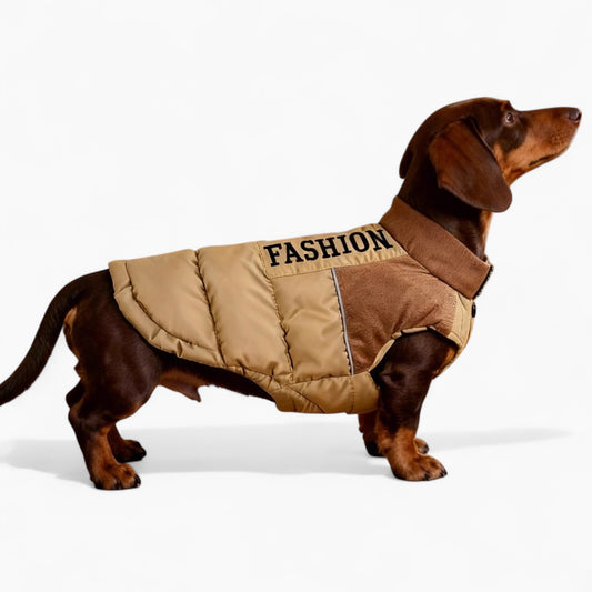 PawNordic-Dachshund-Down-Jacket.jpg