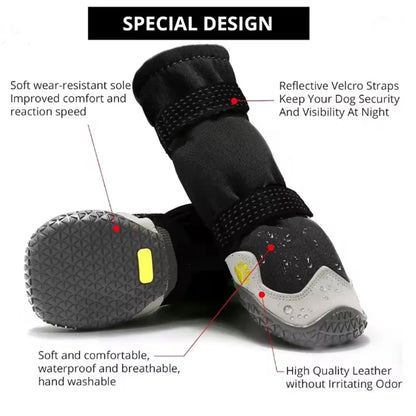 PawShield-Dachshund-Waterproof-Boots.jpg