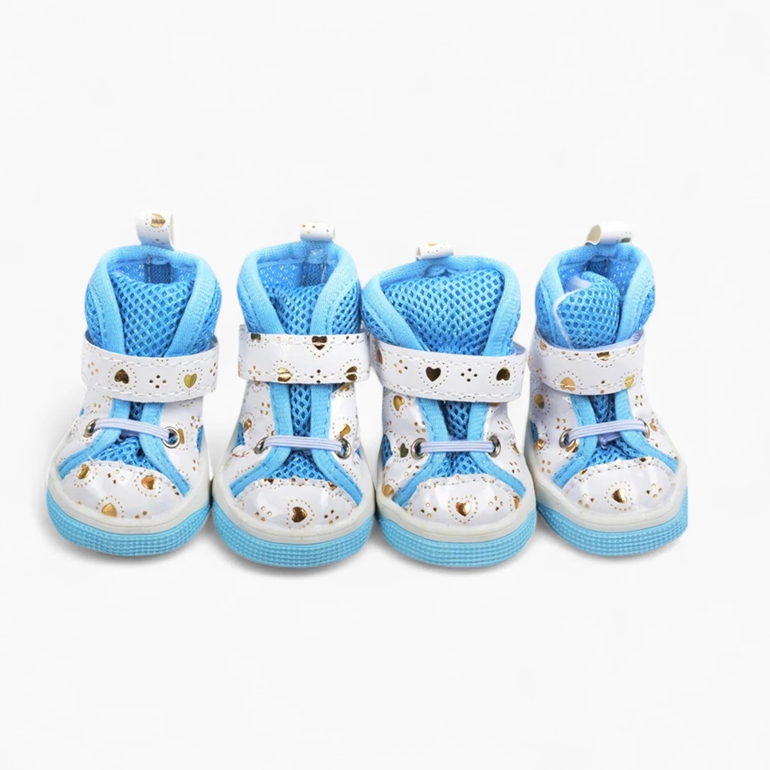 PawTrend-Dachshund-Summer-Sneakers.jpg