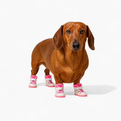 PawTrend-Dachshund-Summer-Sneakers.jpg