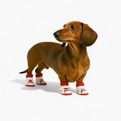 PawTrend-Dachshund-Summer-Sneakers.jpg