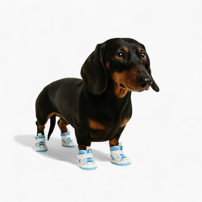 PawTrend-Dachshund-Summer-Sneakers.jpg