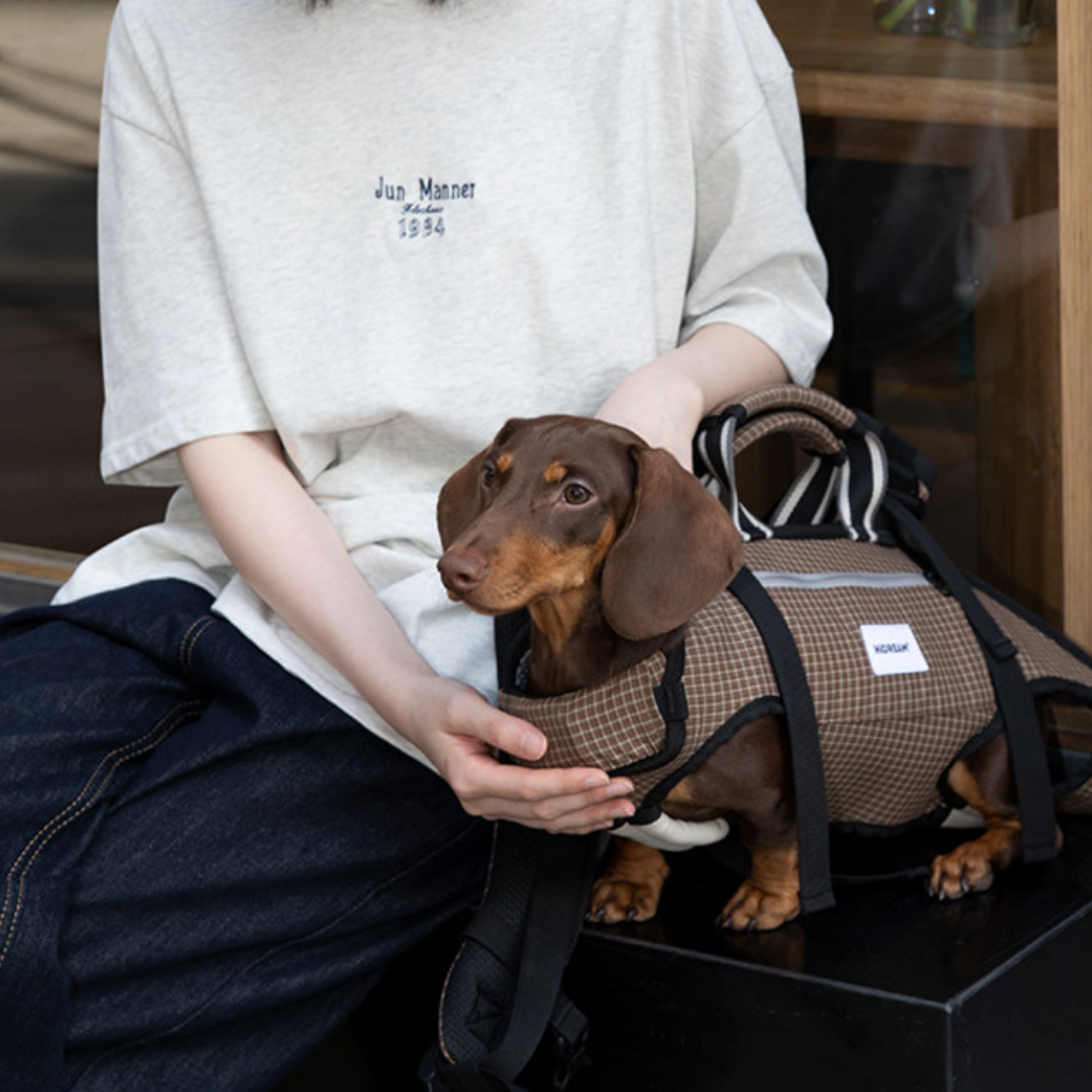 PawVentura-Dachshund-Backpack-Carrier.jpg
