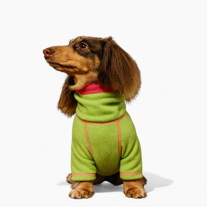 PawVibe-Dachshund-Sweatshirt.jpg