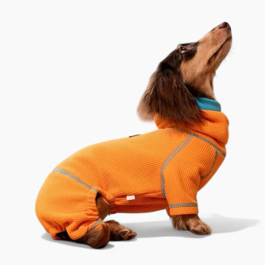 PawVibe-Dachshund-Sweatshirt.jpg