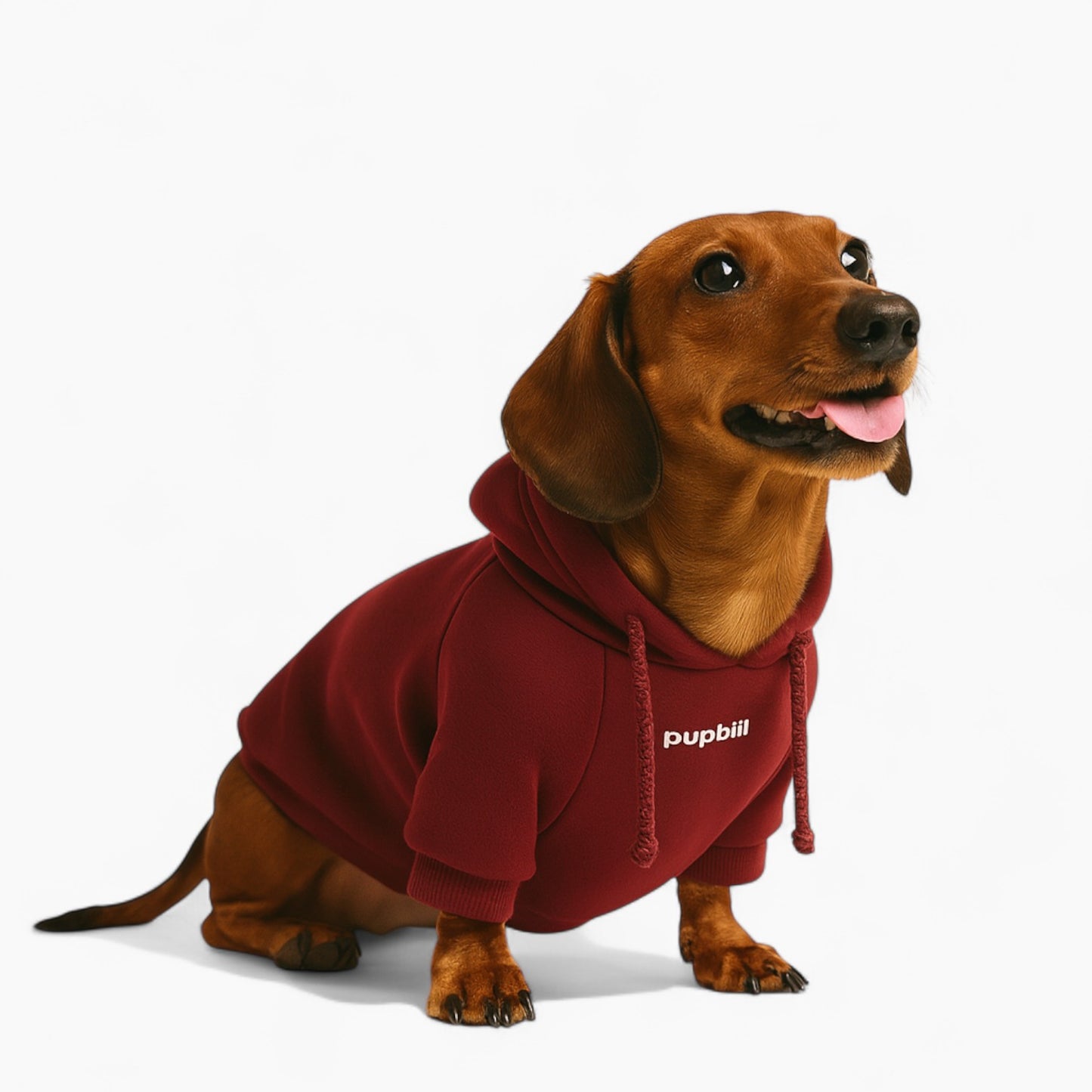 Pawcrest-Dachshund-Human-Matching-Hoodie.jpg