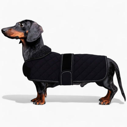 Pawluxe-Dachshund-Winter-Fleece-Coat.jpg