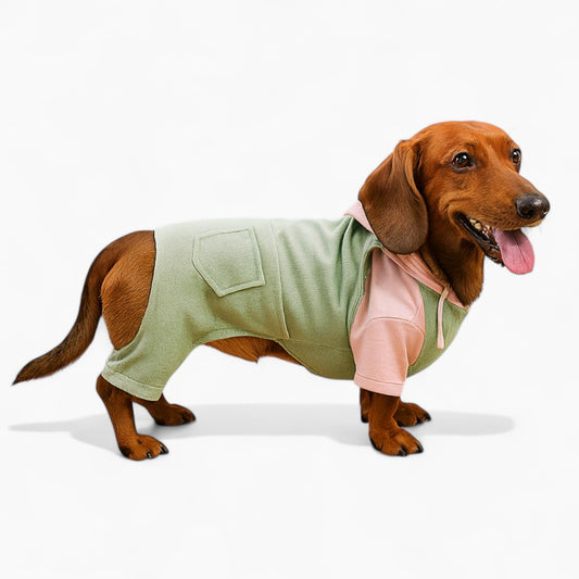 Pawtoria-Dachshund-Overalls-Jumpsuit.jpg