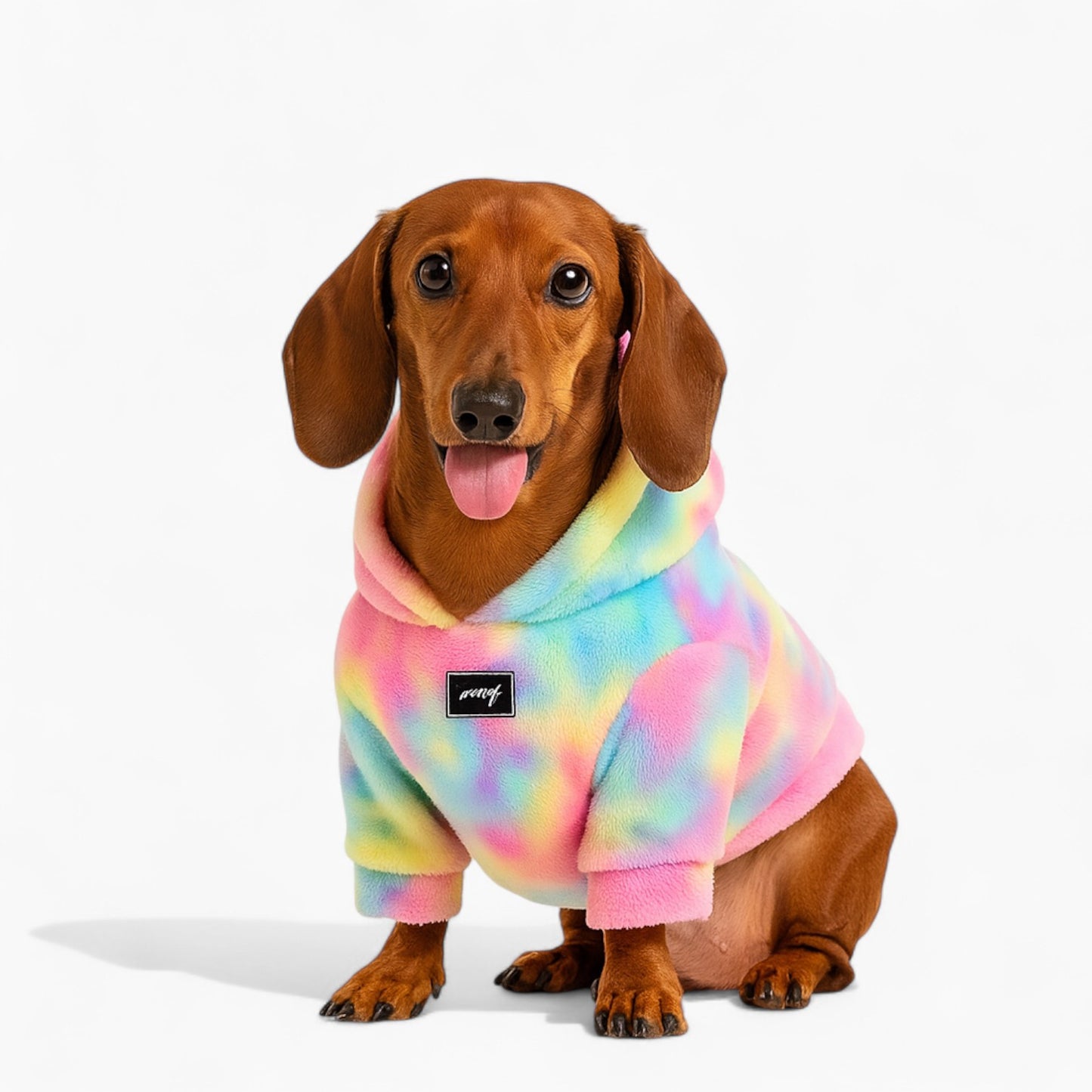 Pawvera-Dachshund-Rainbow-Matching-Hoodie.jpg