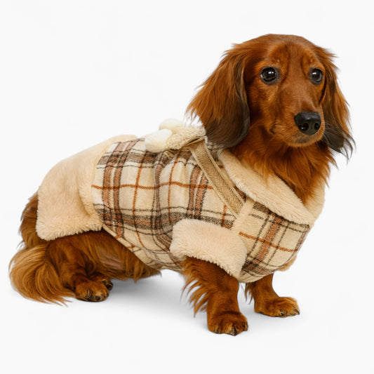 PlaidPaws-Dachshund-Winter-Jacket.jpg