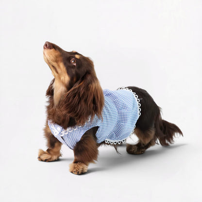 Plaidia-Dachshund-Summer-Dress.jpg
