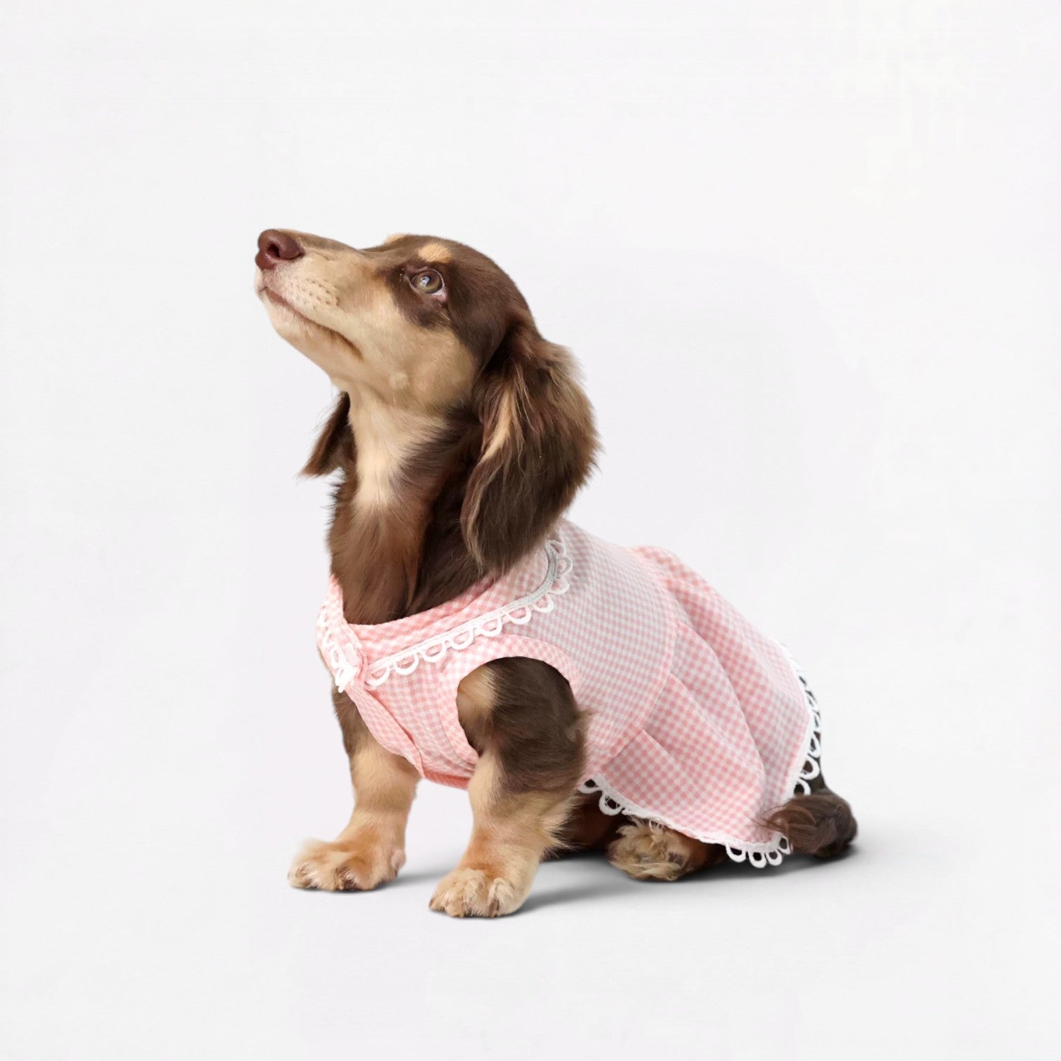 Plaidia-Dachshund-Summer-Dress.jpg