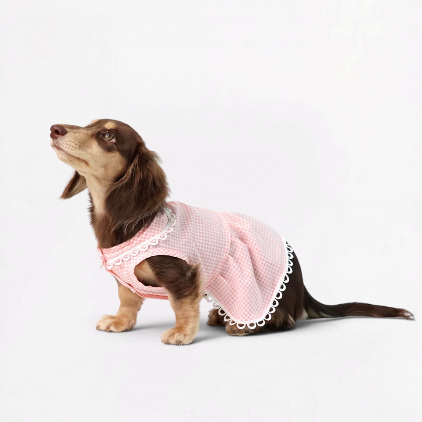 Plaidia-Dachshund-Summer-Dress.jpg