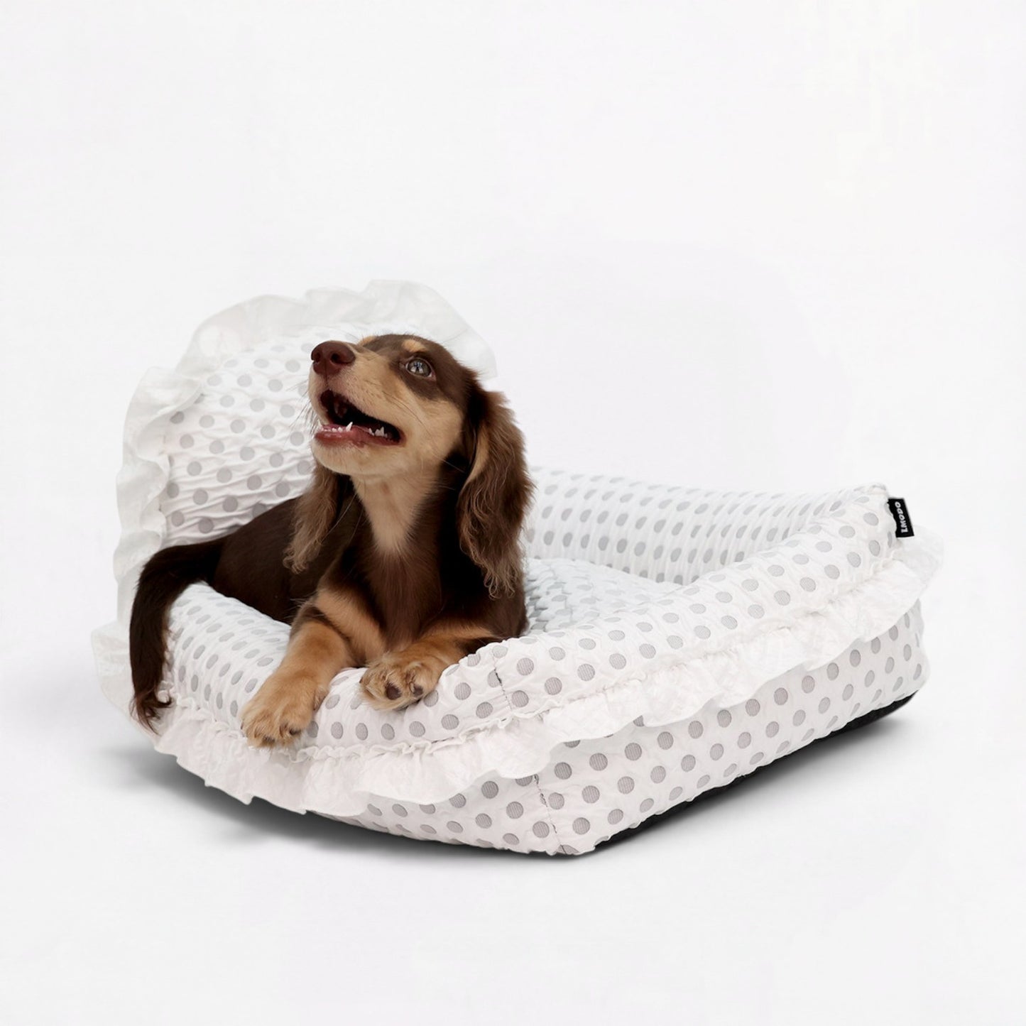 PolDot-Dachshund-Princess-Mat.jpg