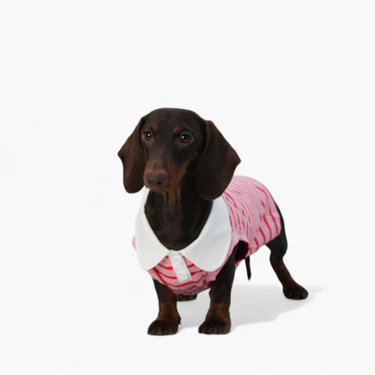 PoloHound-Dachshund-Polo-Vest.jpg