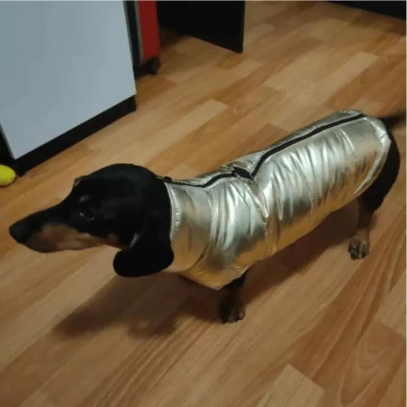 Premium-Dachshund-Gloossy-Jacket-Ultimate-Wet-Weather-Protection-www.doxie.us