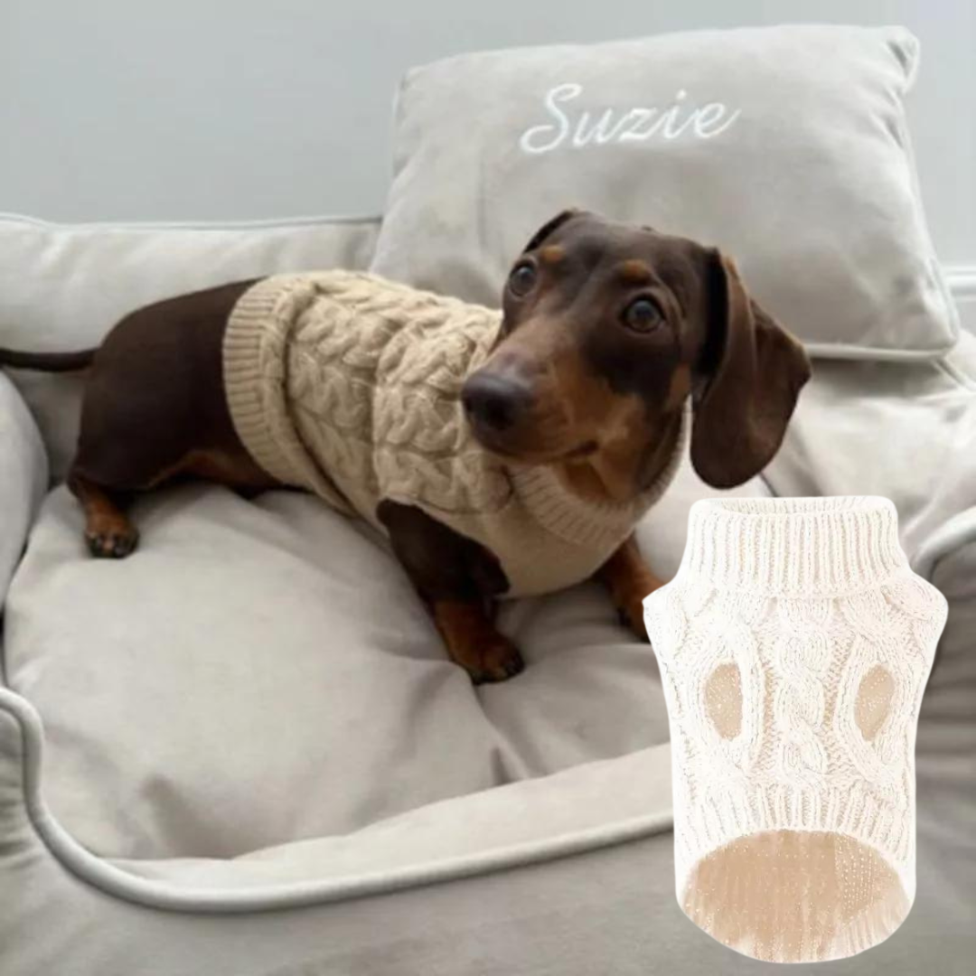 Premium-Dachshund-Wool-Sweater-www.doxie.us