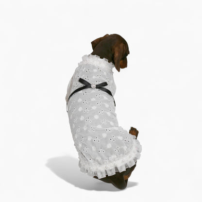 PrinsHund-Dachshund-Princess-Dress.jpg