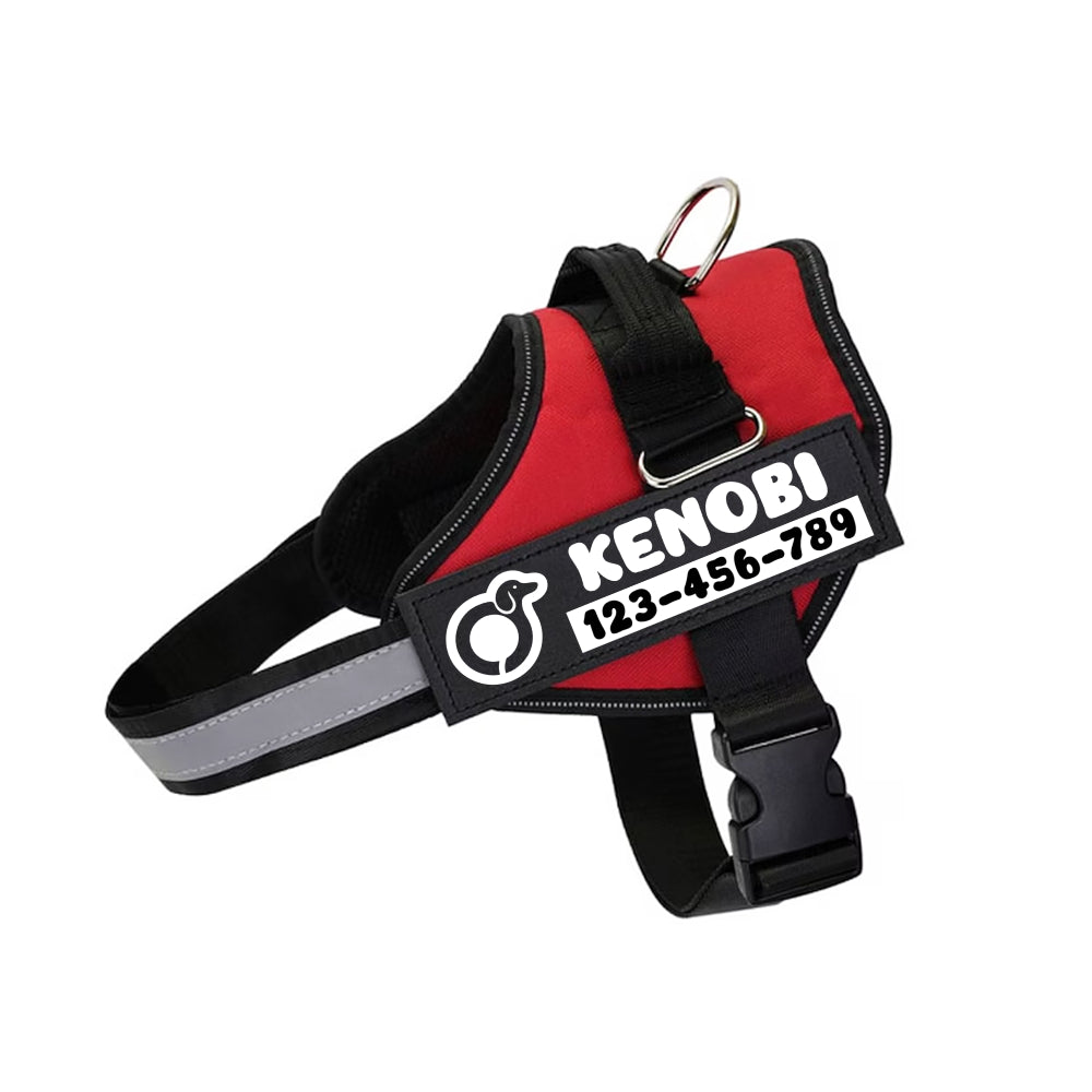 Lucifer - Personalized Dachshund Harness