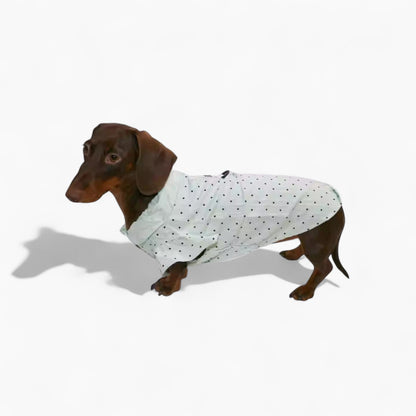 PuffDot-Dachshund-Silky-Shirt.jpg