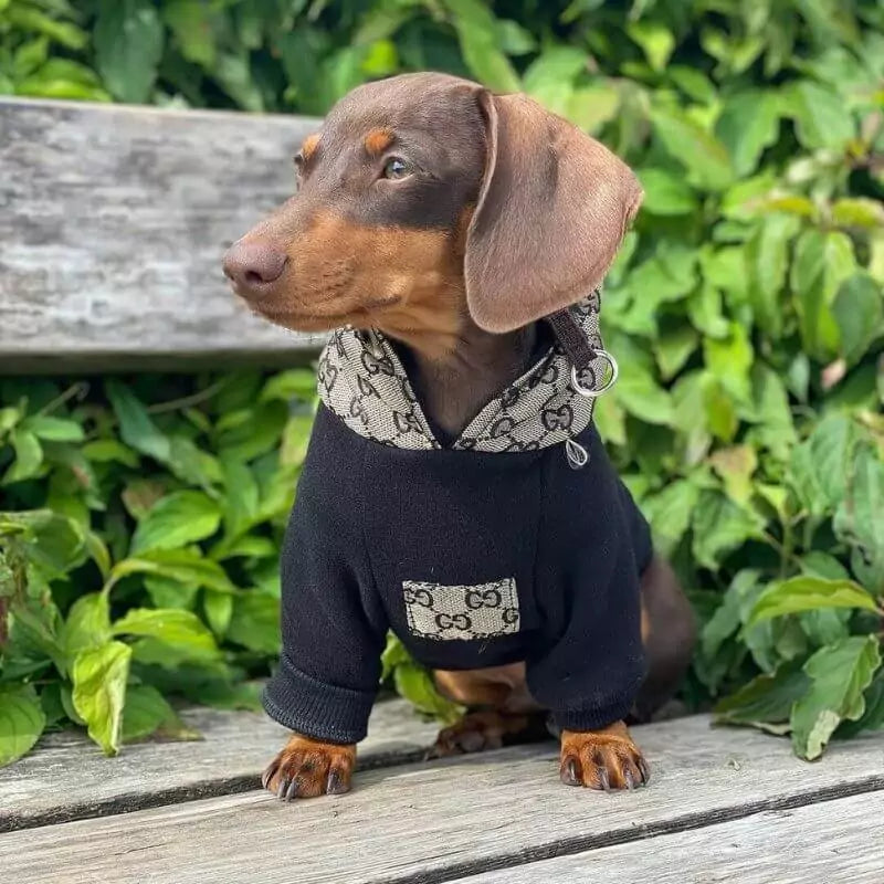 PuffTail-Dachshund-Hoodie-Winter-Padded-Doxie-Lining-Coat-www.doxie.us