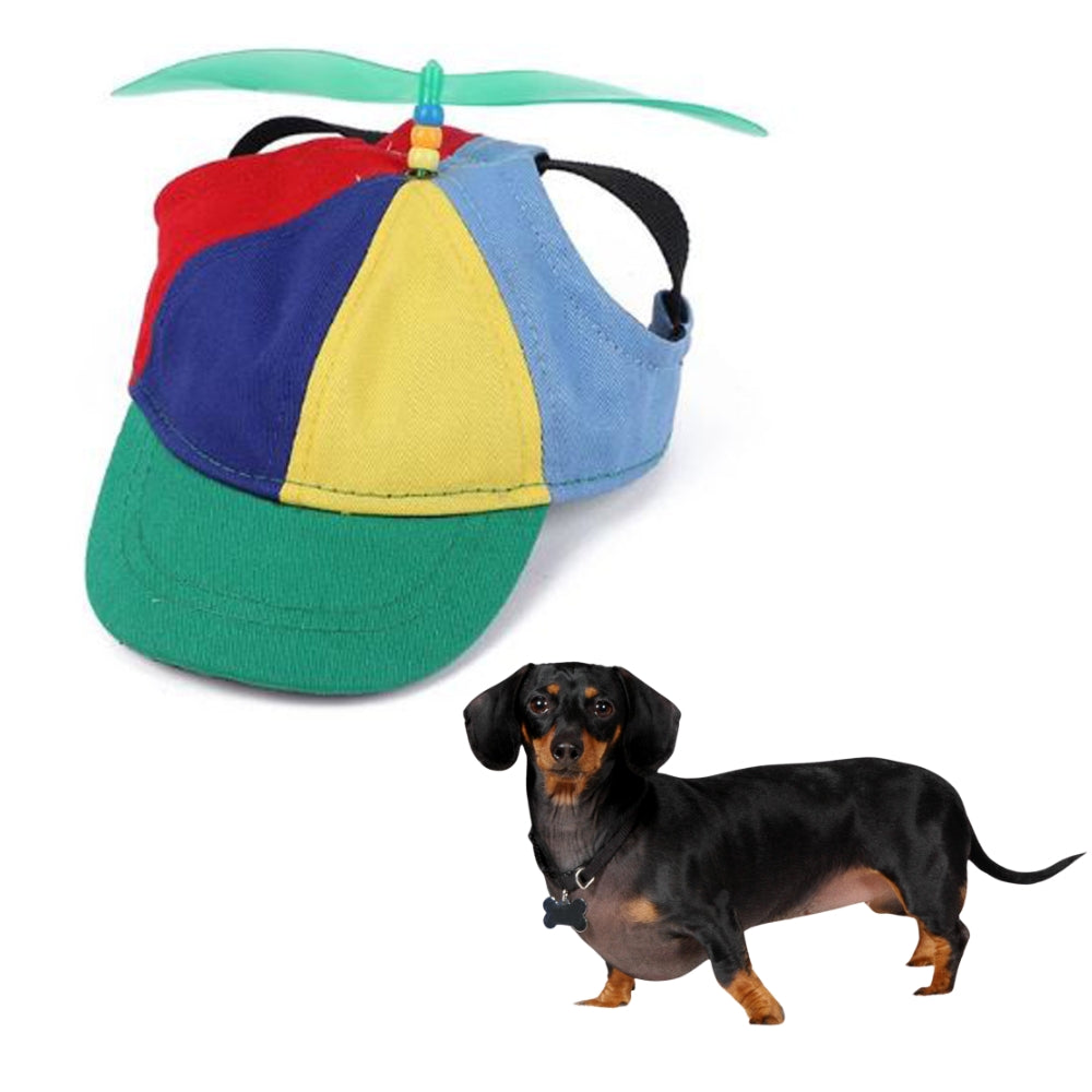 PupTop-Adjustable-Dachshund-Hat-with-Propeller-doxie.us