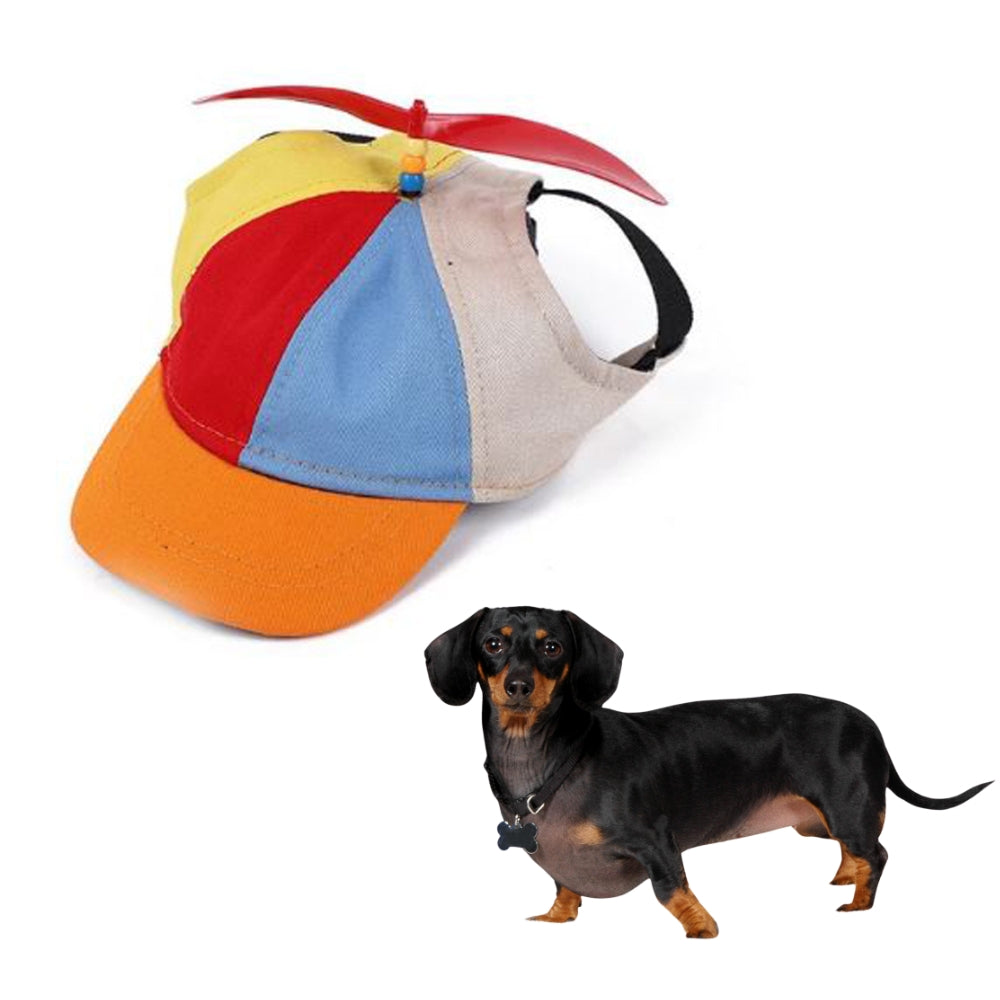 PupTop-Adjustable-Dachshund-Hat-with-Propeller-doxie.us